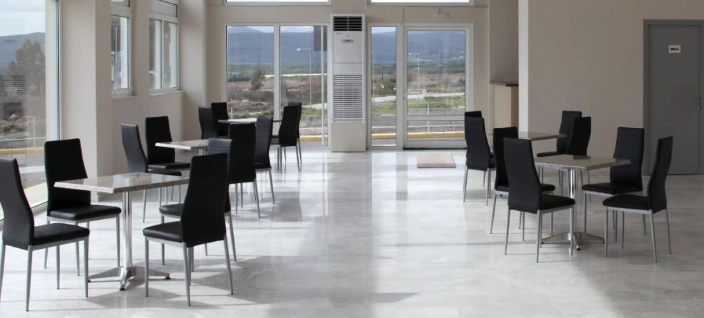 ΙΚΤΕΟ ΦΟΙΒΟΣ ΛΑΚΩΝΙΑΣ